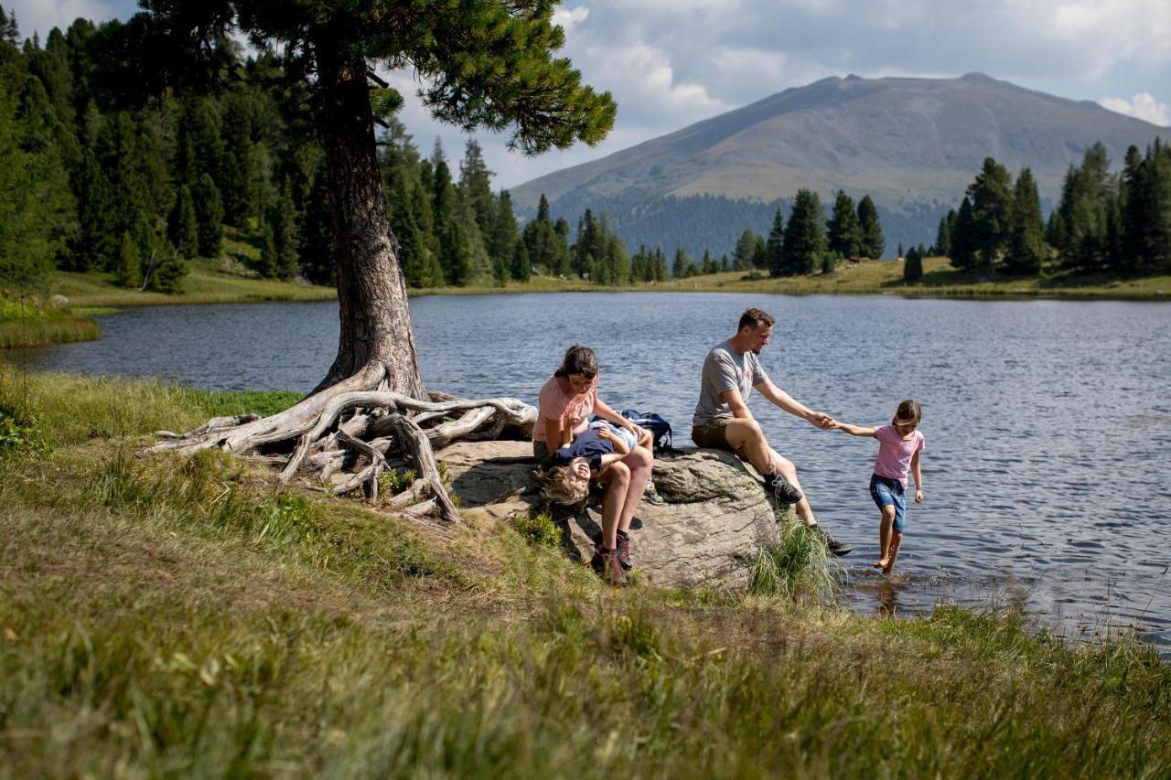 Naturpark Huette Mandl, Biobauernhof & Huettenurlaub Занкт-Ламбрехт Екстер'єр фото